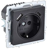 Розетка с заземлением +2xUSB тип A+C без рамки IEK Brite РЮш11-1-БрЧ 1-м. черный картинка